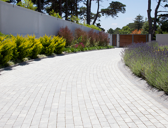 Clean driveway with lush landscaping