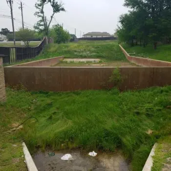 Overgrown drainage area needs cleaning